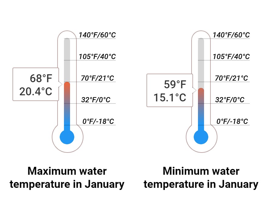 Average Sea temperature